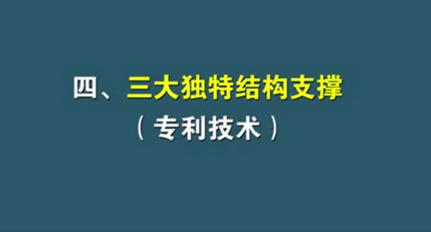 04三大獨(dú)特結(jié)構(gòu)支撐